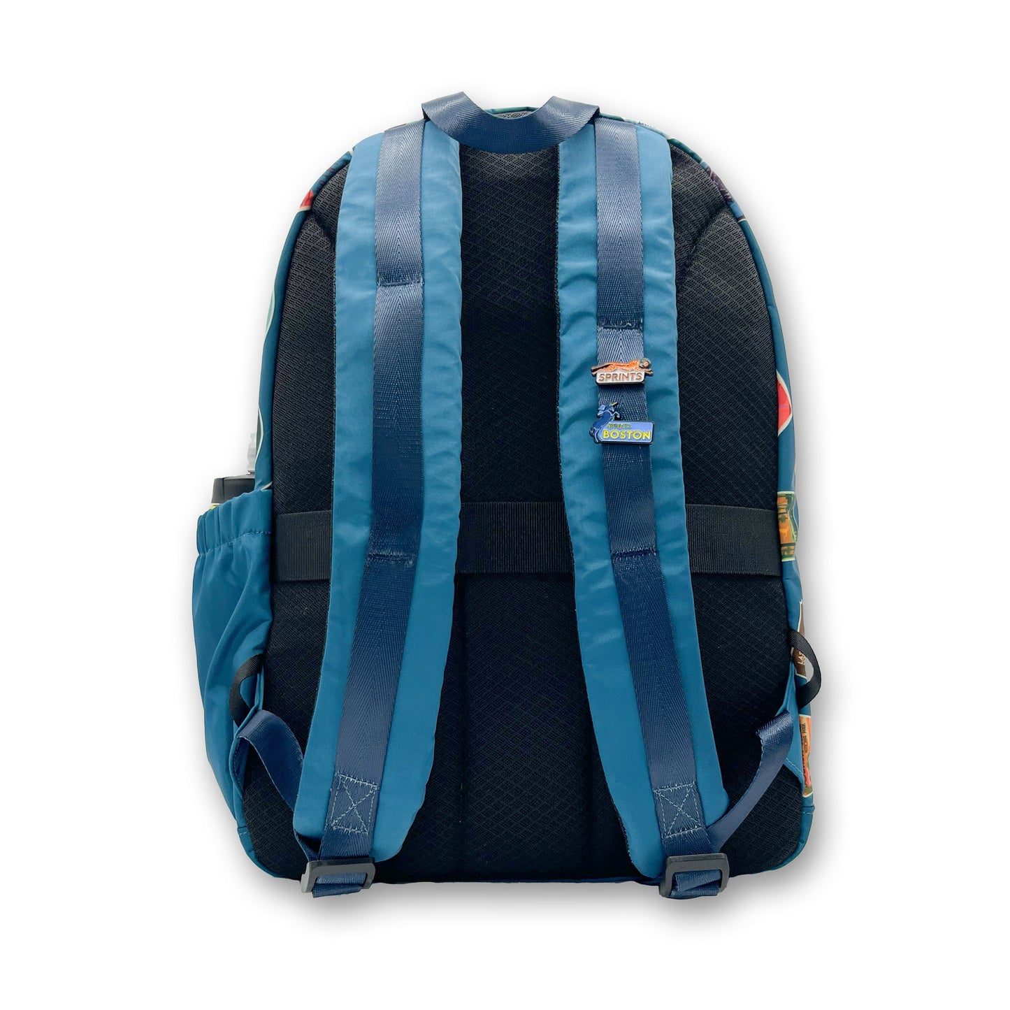 National Parks Bolt Bag Backpack