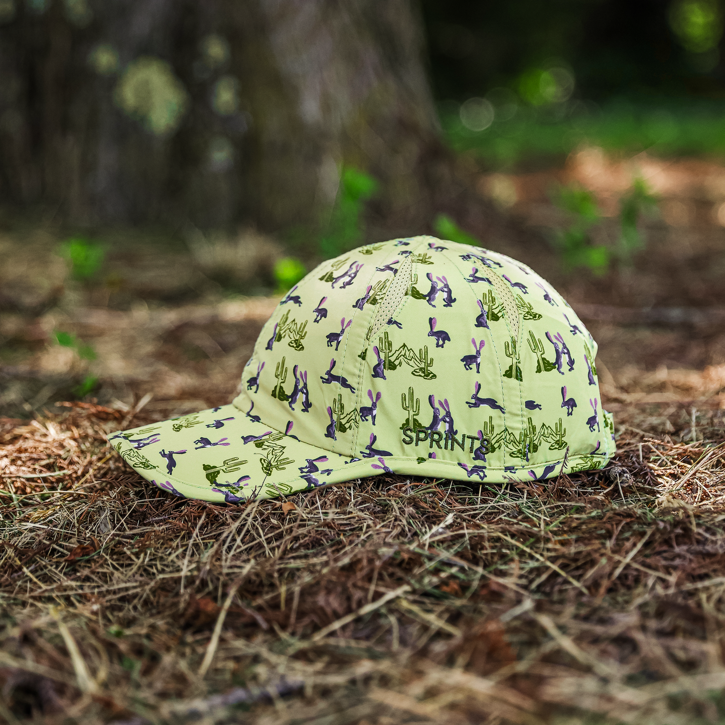 Desert Hoppin' OG Hat (Unisex)