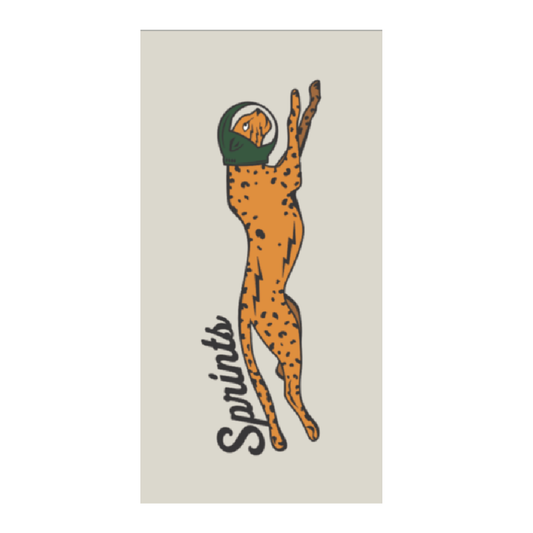 Victory Sprints Car Seat Cover Towel