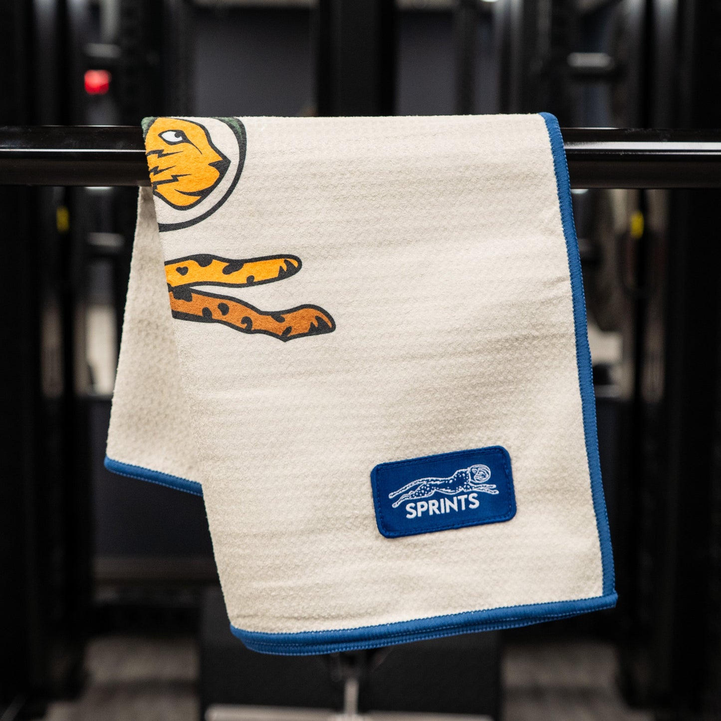 Victory Sprints Mini Towel