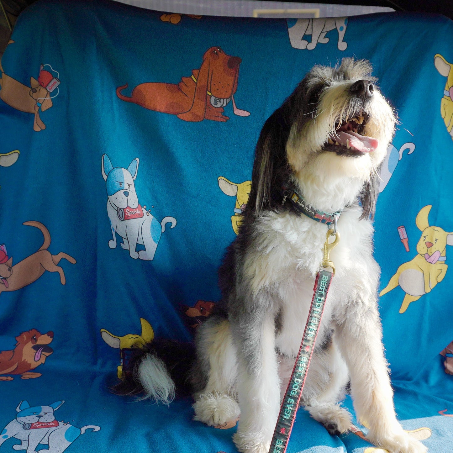 Hair of the Dog Blue Party Size Towel