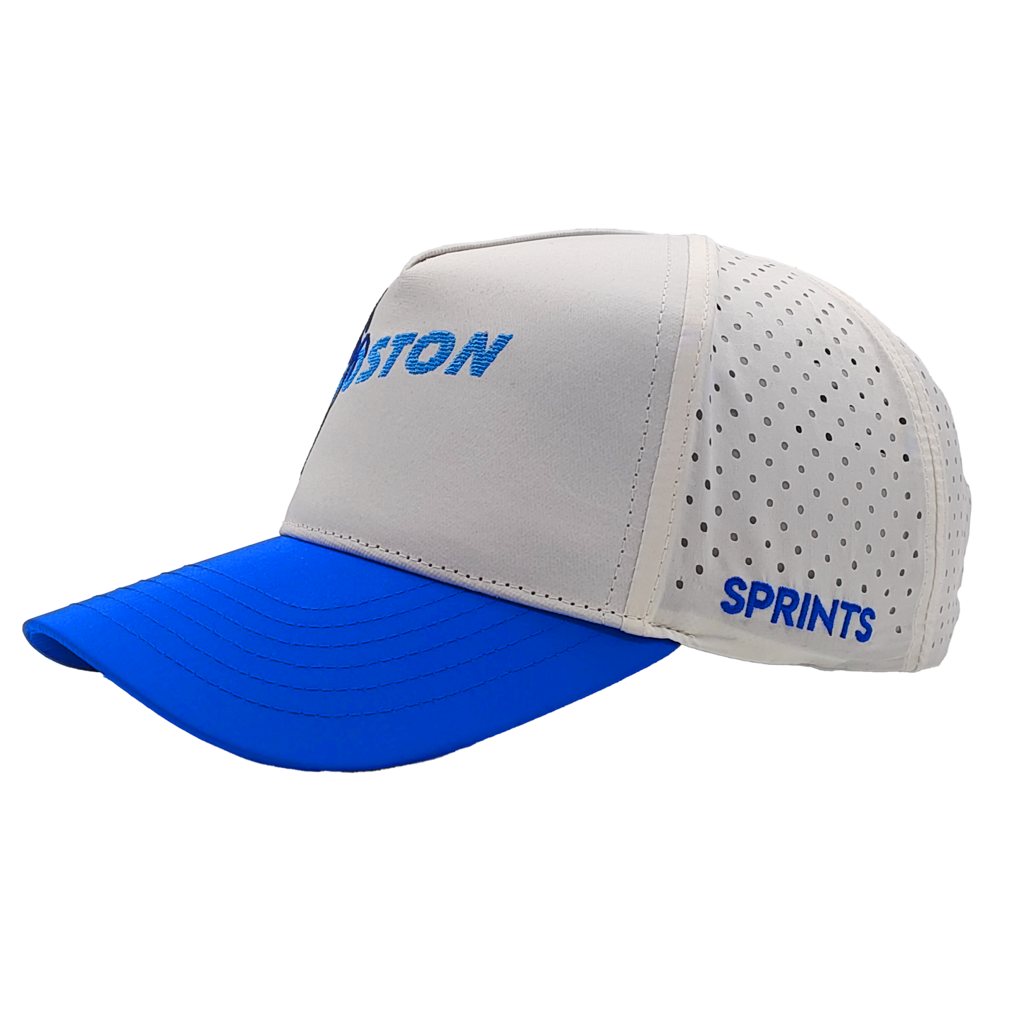 The Unicorn Standard - Boston VP Hat (Unisex)