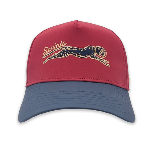 Victory Sprints Bloodline Structured VP Hat (Unisex)