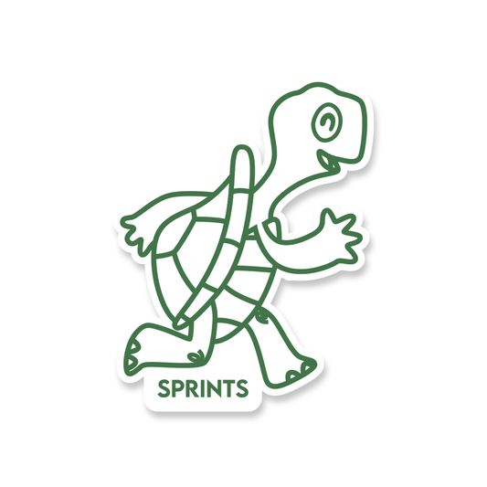 Slow Days Turtle - Vinyl Sticker